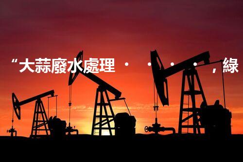 “大蒜廢水處理，綠色環(huán)保新篇章”
